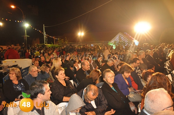 tree milad shajara (46).JPG